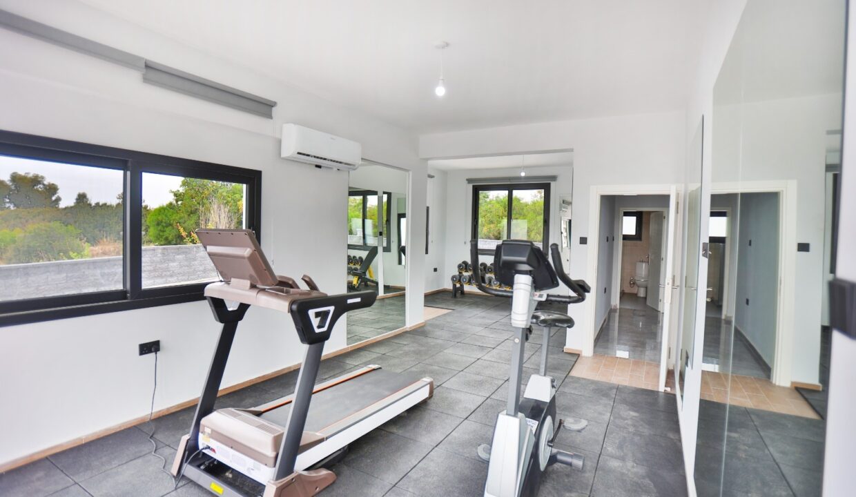 WhatsApp Image 2024-12-07 at 15.39.53 (3)